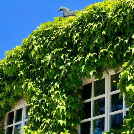 Apartment Gaestehaus Schloss Bothmer Швармщед Екстериор снимка